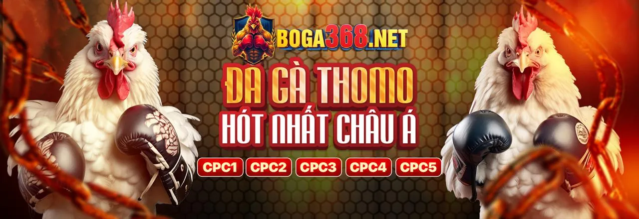 Tải Ứng Dụng 365 ok